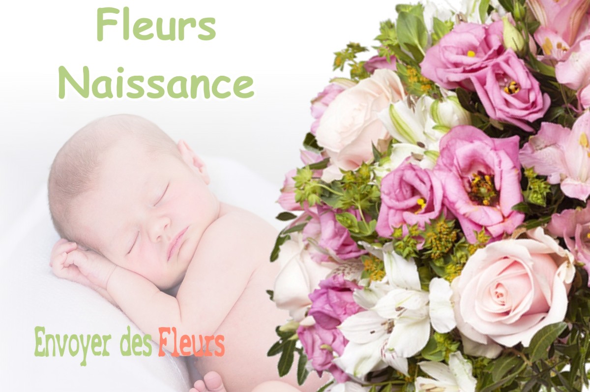 lIVRAISON FLEURS NAISSANCE à SAINT-LAURENT-DU-PONT